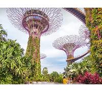 Technology Revolutions: Disruption and Transformation