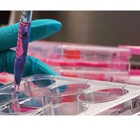 Technology & Society