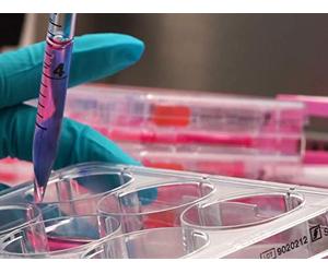 Technology & Society