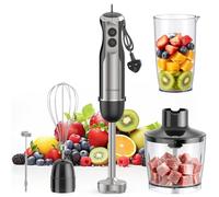TechRise Hand Blender 5 in 1, Stick Blenders for Kitchen, Black Silver | 4 Blades, Whisk & Froth, 12-Speed & Turbo, 600ml Cup, 500ml Chopper, BPA-Free for Baby Food, Soup, Sauce, 304 Stainless Steel