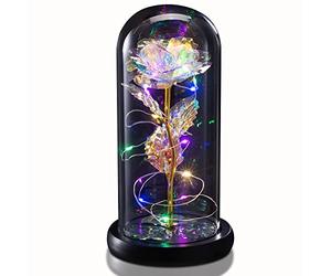 TECHSHARE Gifts for Her, Forever Flower Rose in Glass Dome, Rose Light Up Flower, Personalized Gifts for Mom, Sisters, Friend, Women, Valentine's Day, Birthday, Wedding