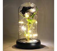 TECHSHARE Valentines Gifts for Her, Light Up Black Rose In A Glass Dome is a Unique Gifts for Girlfriend, Mum, Women, Wife on Valentines Day, Mothers Day, Christmas, Birthday, Anniversaries, etc