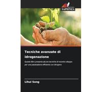 Tecniche avanzate di idrogenazione: Questo libro presenta alcune tecniche di recente sviluppo per una passivazione efficiente con idrogeno