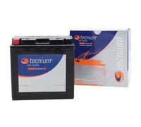 Tecnium Bt14b-4 12v 12ah Agm Battery