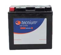 Tecnium Bt9b-4 12v 8ah Agm Battery