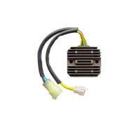 TECNIUM by DZE Regulator