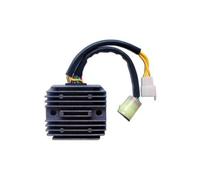 TECNIUM by DZE Regulator