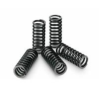 TECNIUM Clutch Spring Kit Box of 5 KTM EXC/SX 125