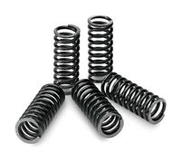 Tecnium Spr0041 Kawasaki Clutch Spring Kit