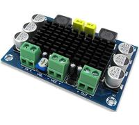 TECNOULAB 1pcs DC 12V 24V 100W TPA3116DA Single Channel Digital Power Audio Amplifier TPA3116D2