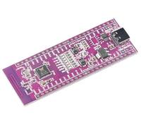 TECNOULAB 1pcs MCU SoC Development Board Dual-mode WiFi Bluetooth 32-bit Microcontroller W801