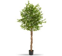 tectake Artificial Fiscus Plant Fida in Green | Size: 180 cm TECTAKE Green 180 cm