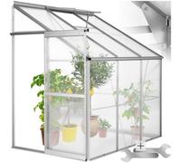 Greenhouse lean-to - transparent