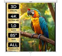 Tectake Projector Screen - Retractable, Wall & Ceiling Mounted, Hd Optimised, 2-Layers 152 X 152 Cm - White