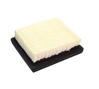 Tecumseh 36046 Air Filter