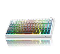 TECURS 75% Wireless Gaming Keyboard, Tri-Mode 2.4GHz/BT5.0/Type-C RGB Backlit Red Switch Mechanical Keyboards, Gasket Creamy, Side Engraved, Hot Swappable Custom Keyboard for PC/Mac (DE-Gradient Grey)