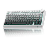 TECURS Mechanical Gaming Keyboard | Hot-Swappable Wireless RGB Keyboard Sideprinted |2.4Ghz/Type-C/BT5.0 | Gasket Mount Custom Keyboard for PC/Mac/PS5/PS4, US Layout Gradient Grey