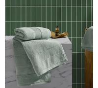 Ted Baker 2-Pack Hand Towel Set Cotton Highly Absorbent 18 x 28 Sage Green
