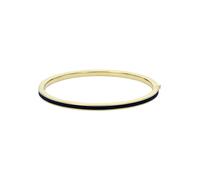 Ted Baker Roley Classic Colour Enamel Slim Bangle for Women (Gold/Black)