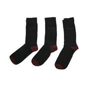 Ted Baker London Burgy Three Pack Pair Pack of Mens Ankle Socks Organic Cotton Black and Burgundy Size 7-11