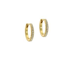 Ted Baker London Heplie Crystal Hoop Earrings For Women (Gold/Crystal)