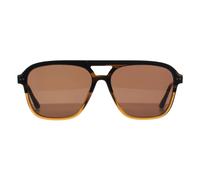 Ted Baker Sunglasses TB8259 122 Brown Horn Gradient Brown