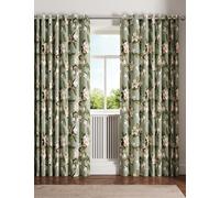 Ted Baker 'Opal Floral' Cotton Lined Curtains in Light Green | Size: 228 cm width x 183 cm drop Ted Baker Light Green 228 cm width x 183 cm drop
