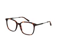 Ted Baker Optical Frame TB8295 407 54