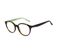 Ted Baker Optical Frame TB9253 101 51