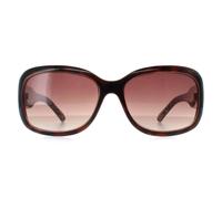 Ted Baker Sunglasses TB1183 Charlotte 149 Brown Brown Gradient