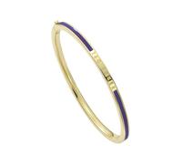Ted Baker Roley Classic Colour Enamel Slim Bangle Bracelet