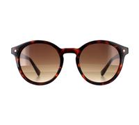 Ted Baker Round Double Champagne Demi Brown Gradient Tb1677 Fleur Brown One Size