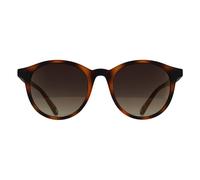 Ted Baker Round Tortoiseshell Brown Gradient TB1503 Odell