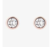 Ted Baker SINAA Rose Gold Tone Crystal Stud Earrings TBJ1084-24-02