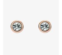 Ted Baker Sinaa Rose Gold Tone Mini Crystal Stud Earrings TBJ3124-24-02
