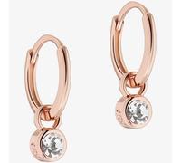 Ted Baker Sinalaa Crystal Huggie Hoop Earrings For Women (Rose Gold/Crystal)