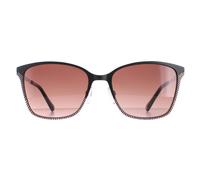 Ted Baker Square Black Brown Gradient Tb1563 Cerise Black