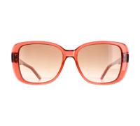 Ted Baker TB1640 Margo Sunglasses Rose / Brown Gradient
