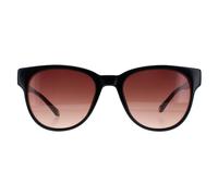 Ted Baker Sunglasses TB1627 Ware 001 Black Brown Gradient