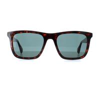 Ted Baker Sunglasses TB1680 Filipe 110 Milky Dark Brown Blue