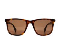 Ted Baker Sunglasses TB1724 Jacobe 104 Gloss Dark Tortoise Brown