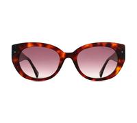 Ted Baker Sunglasses TB1737 100 Tortoise Brown Gradient