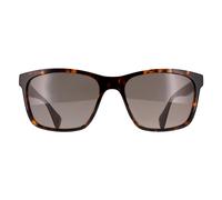 Ted Baker Sunglasses TB1780 Reef 119 Gloss Classic Tortoise Green