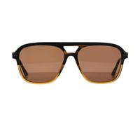 Ted Baker Sunglasses TB8259 122 Brown Horn Gradient Brown