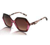 Ted Baker Sunglasses Women's Evie TB1736 287 Gloss Wine Gradient/Brown