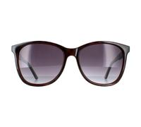 Ted Baker TB1496 Alva Sunglasses Tortoiseshell / Grey Gradient