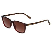 Ted Baker TB1529 249 Brown / Tortoise Sunglasses UV400 53/17/150