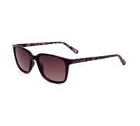 Ted Baker TB1529 249 Brown / Tortoise Sunglasses UV400 53/17/150