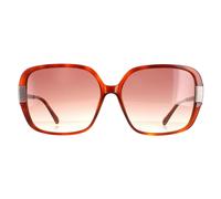 Ted Baker TB1616 Indi Womens Tortoise Brown Sunglasses