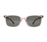 Ted Baker Sunglasses TB1622 Dexter 228 Red Green